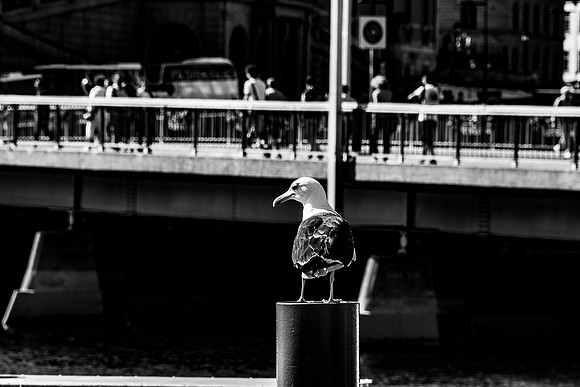 p,20201103 s 21 ,110535 ,s