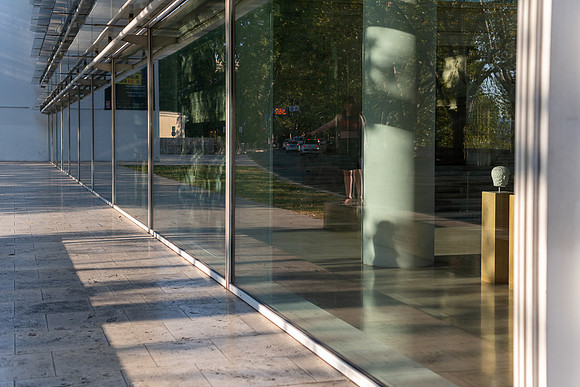 20220111 a 22,192753,Afternoon Reflections ,c