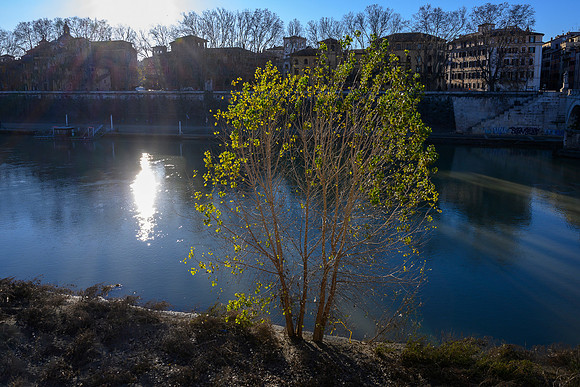 20220110 a 12,191091,Morning ,c