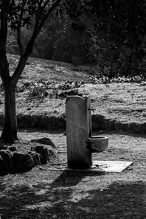 p,20220607 aa 24,199667,That Litle Fountain ,b