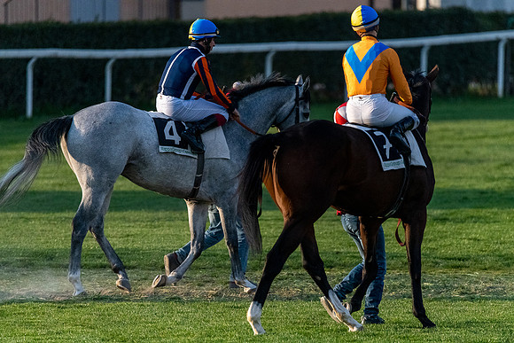 20220414 a 41,202528,Horses and Riders 41 ,c