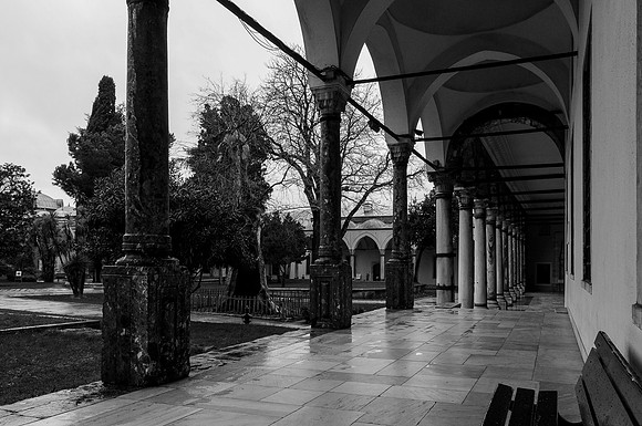 20220325 a 53,DSC_3777,Arcades ,b