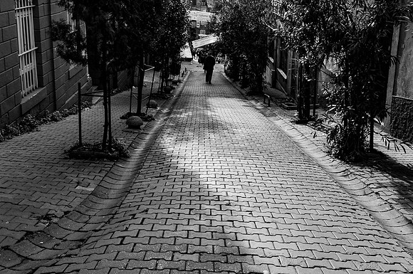 p,20211029 s 52,DSC_3444,s
