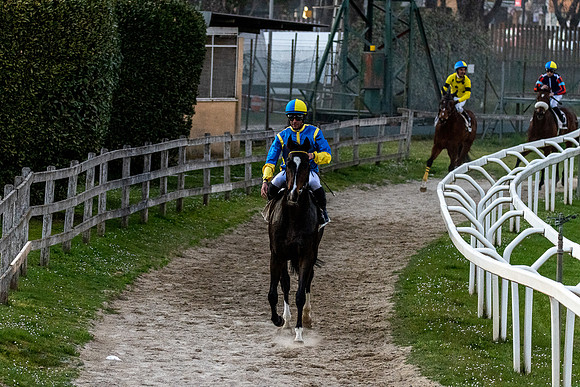 20220415 a 52,202561,Horses and Riders 52 ,c