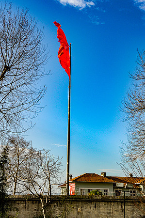 p,20220323 a 31,DSC_3456,Red Flag ,c