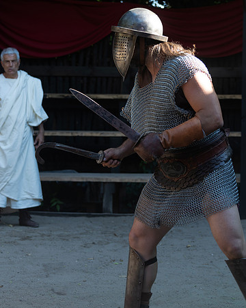 20220628 aa 22,209077,Romans and Gladiators 209077 ,c