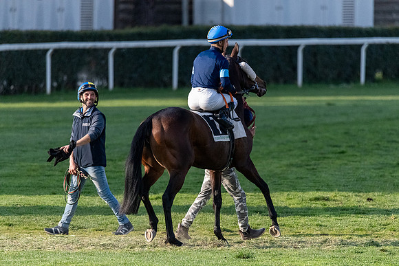 p,20220411 a 11,202441,Horses and Riders 11 ,c
