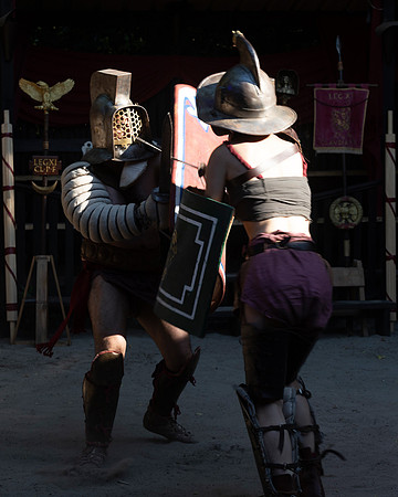 20220630 aa 41,209300,Romans and Gladiators 209300 ,c
