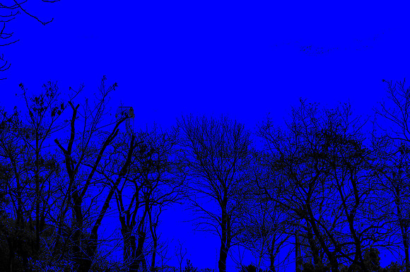 20220322 a 25,DSC_3814,Magic Winter ,m