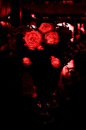 p,20220725 aa 16,179108,Red Roses ,m