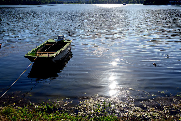 p,20220204 a 51,185730,Lovely Summer Day ,c
