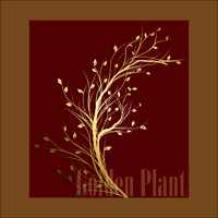 Golden Plant