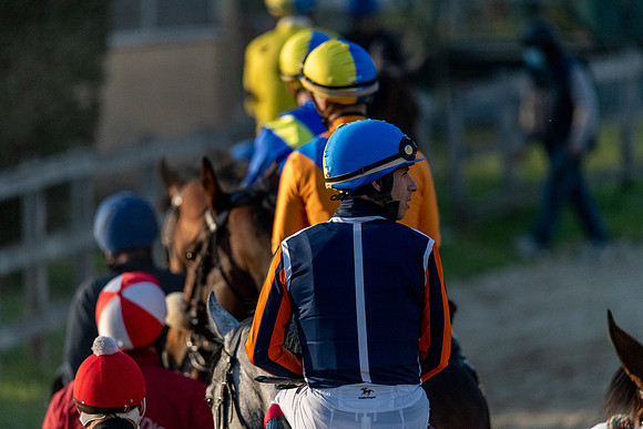 p,20220412 a 21,202512,Horses and Riders 21 ,c
