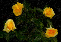 Flying Yellow Roses