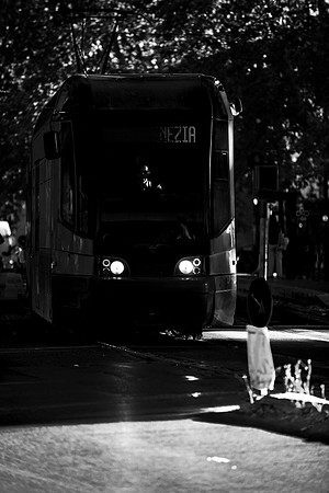 p,20220727 aa 33,279891,My Tram ,b